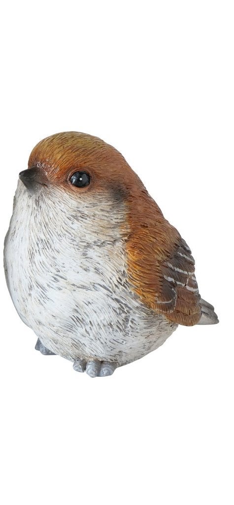 VOGELTJES - COBIE - BOLTZE