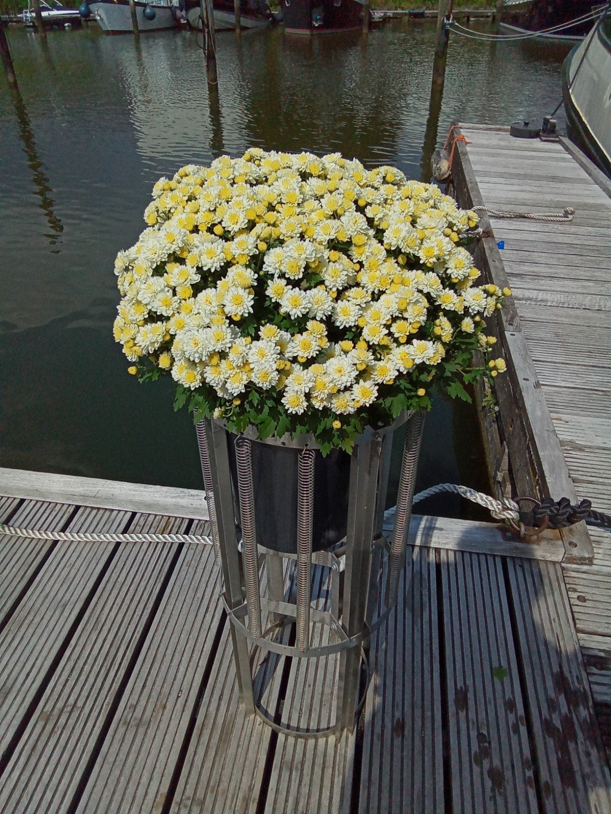 plantenbak rvs, Ophalen of Verzenden, Gebruikt