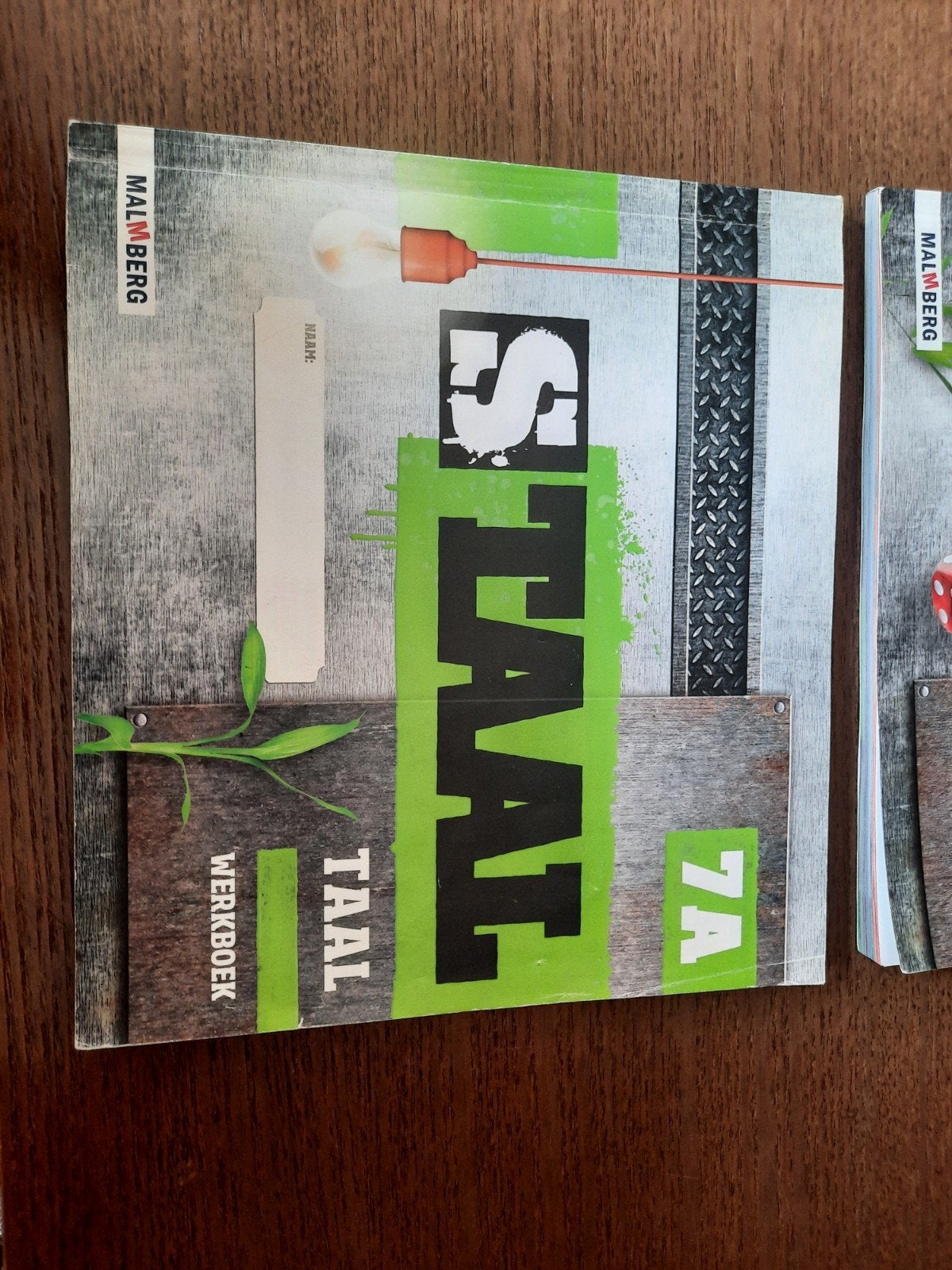 Staal Taal groep 7 boek A boek B en oefentoets, Ophalen of Verzenden, Zo goed als nieuw, Overige niveaus, Nederlands