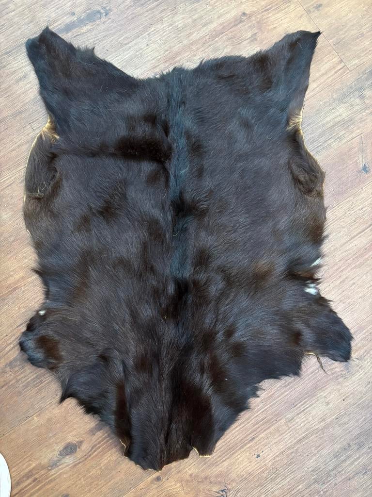Bruin vacht kleedje 85 x 60 origineel bont , nieuw, Verzenden, Bruin, 50 tot 100 cm