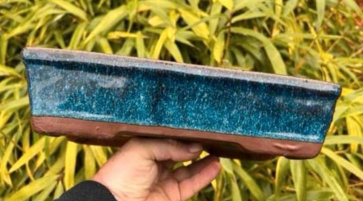Bonsai schaal blauw tinten geglazuurd gemerkt 29,3x19,6x7, Tuin en Terras, Ophalen of Verzenden, Zo goed als nieuw, Aardewerk