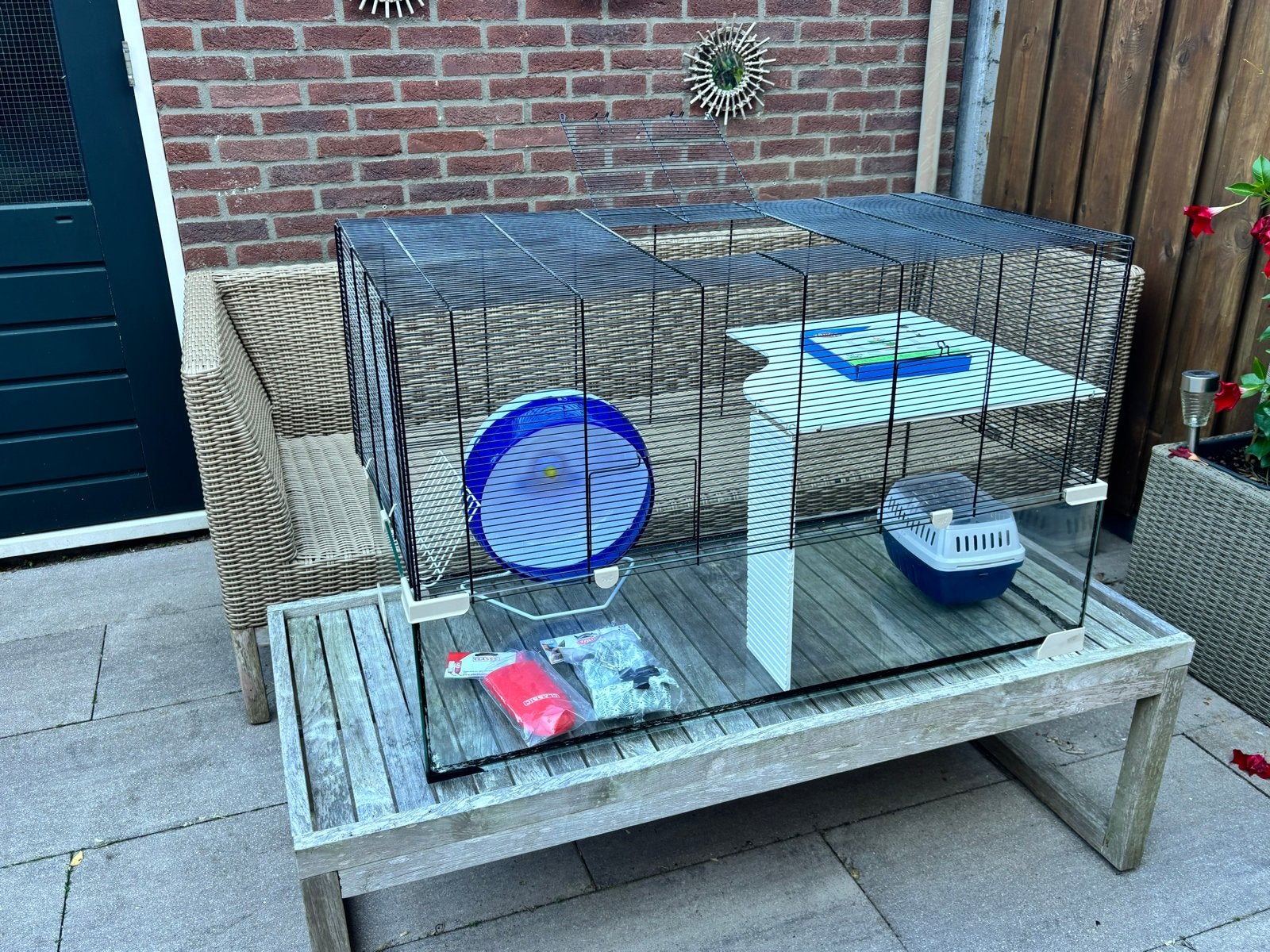 Compleet knaagdierverblijf, Dieren en Toebehoren, Ophalen, Kooi, Minder dan 60 cm