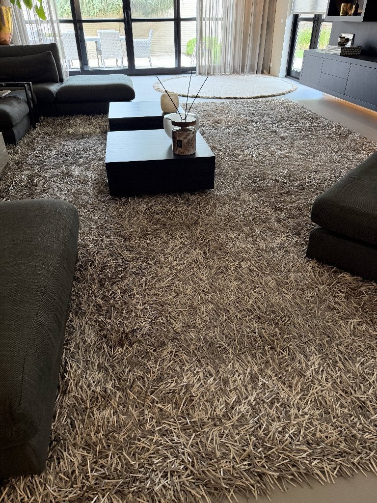 Deluxe Champagne Zilver Groot Vloerkleed 550x500 cm, Ophalen, Gebruikt, Grijs, 200 cm of meer
