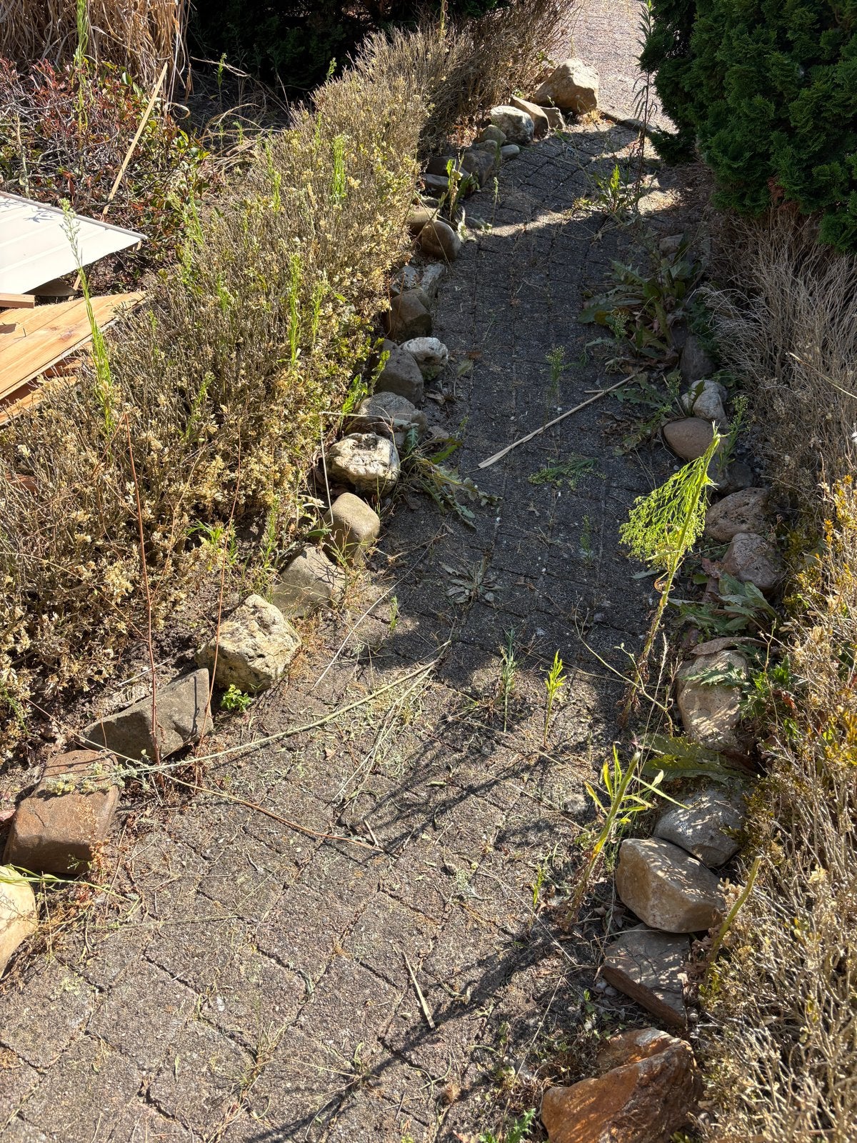 Veldkeien, losse stenen voor tuin of decoratie, Tuin en Terras, Ophalen, Overige materialen, Gebruikt, Kei