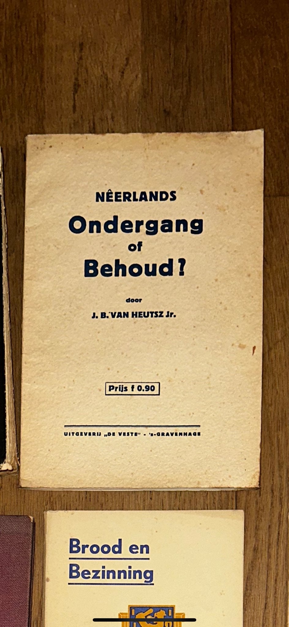 Néerlands Ondergang of Behoud? - J.B. van Heutsz Jr., Boeken, Ophalen of Verzenden, Gelezen, Nederland
