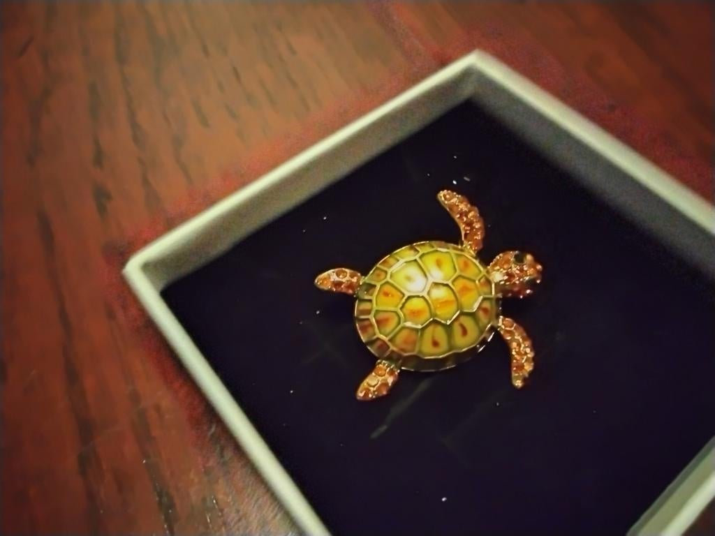 Mooie schildpad, Sieraden, Tassen en Uiterlijk, Broches, Ophalen of Verzenden, Zo goed als nieuw, Overige materialen