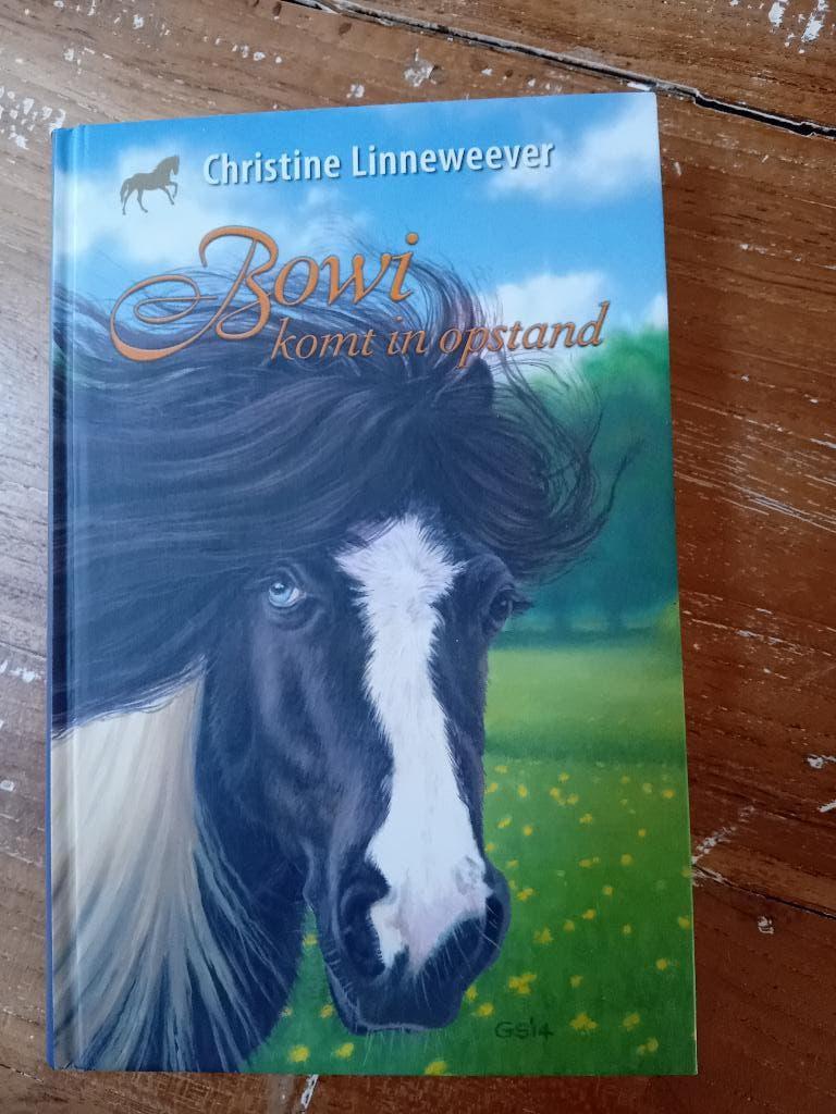 Te koop van de goudenpaarden serie Bowie, Boeken, Ophalen of Verzenden, Zo goed als nieuw, Christine Linneweever