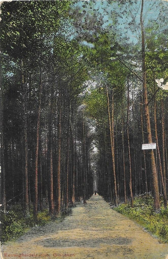 AK Ginneken - Eeuwigheidslaantje, Verzenden, Voor 1920, Gelopen, Noord-Brabant