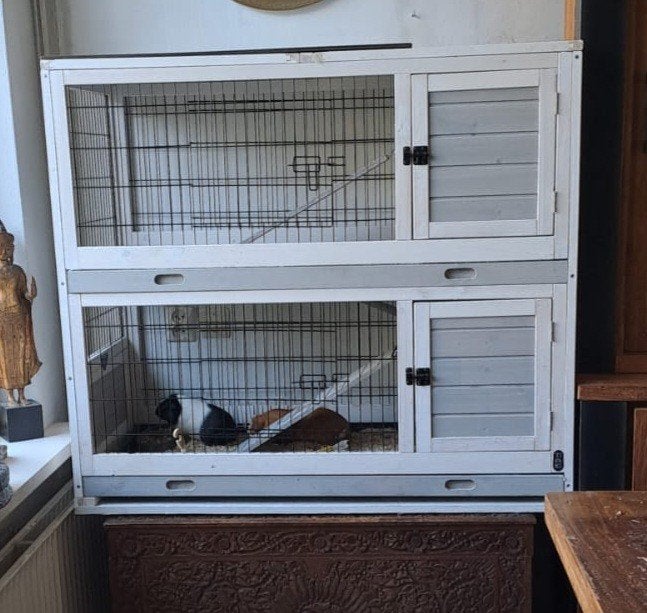 konijn/cavia kooi 2 verdiepingen, Ophalen, Kooi, 110 cm of meer, Zo goed als nieuw