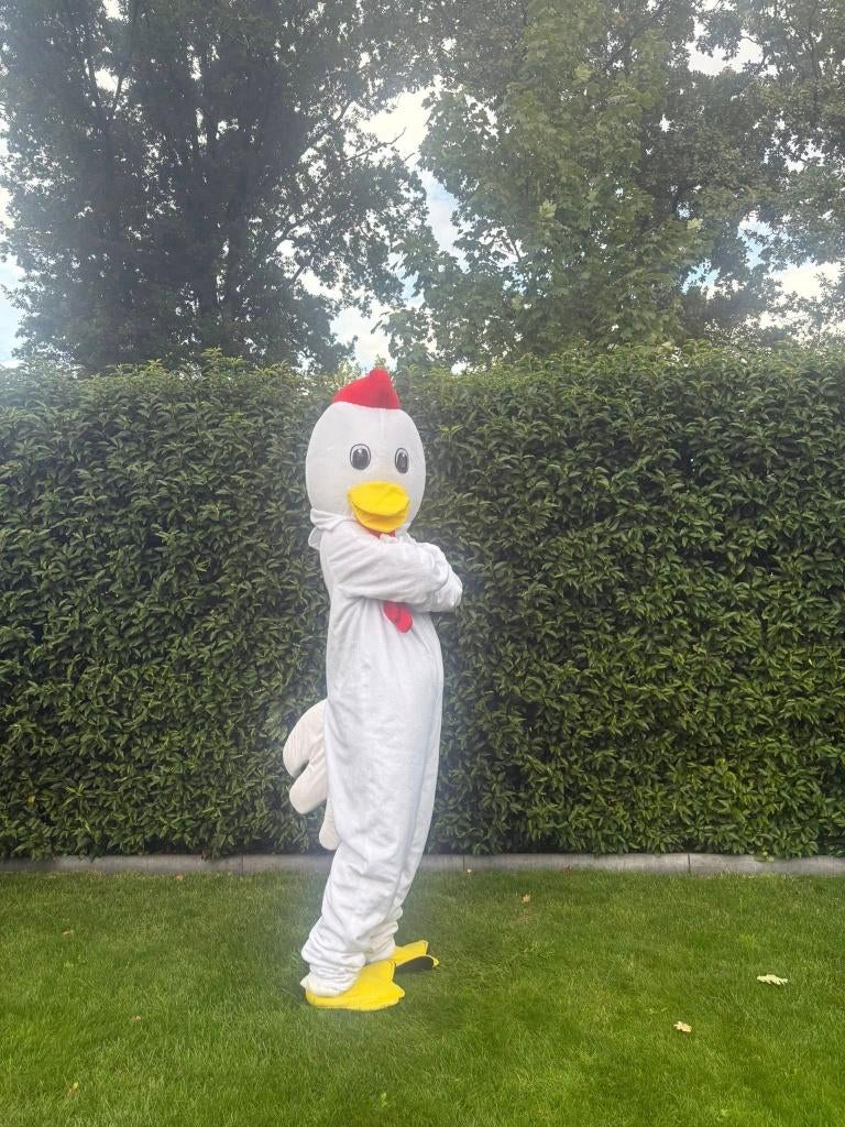 Te Huur: Kip-kostuum, Mascotte, Dieren, Carnaval, Ophalen of Verzenden, Zo goed als nieuw, Verjaardag