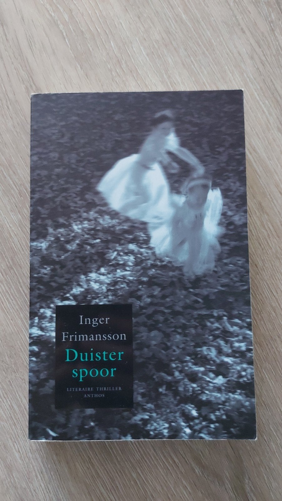 H3: Inger Frimansson - Duister spoor, Scandinavië, Ophalen of Verzenden, Zo goed als nieuw, Inger Frimansson