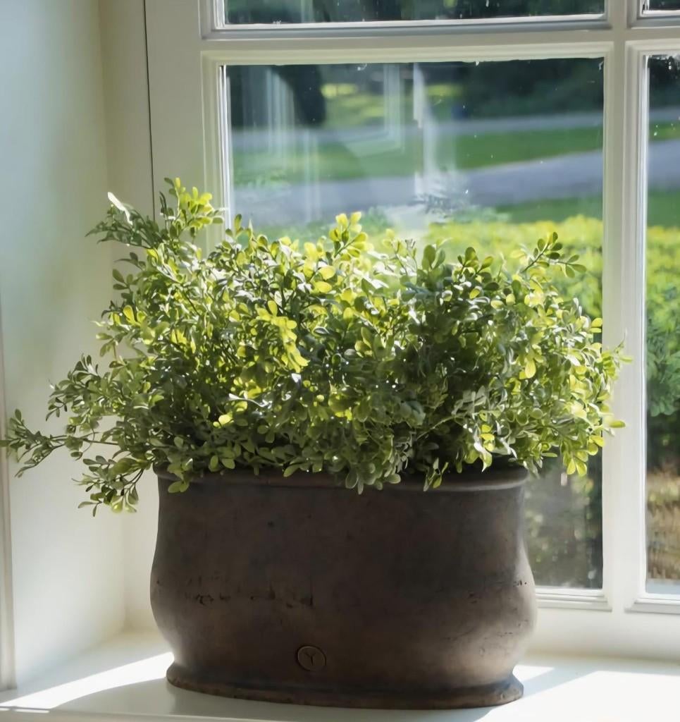 Brynxz buxus, zijdetak, groen, plant, zijdebloemen, Www.jufbrocante.nl, Www.jufbrocante.nl, Nieuw, Ophalen of Verzenden