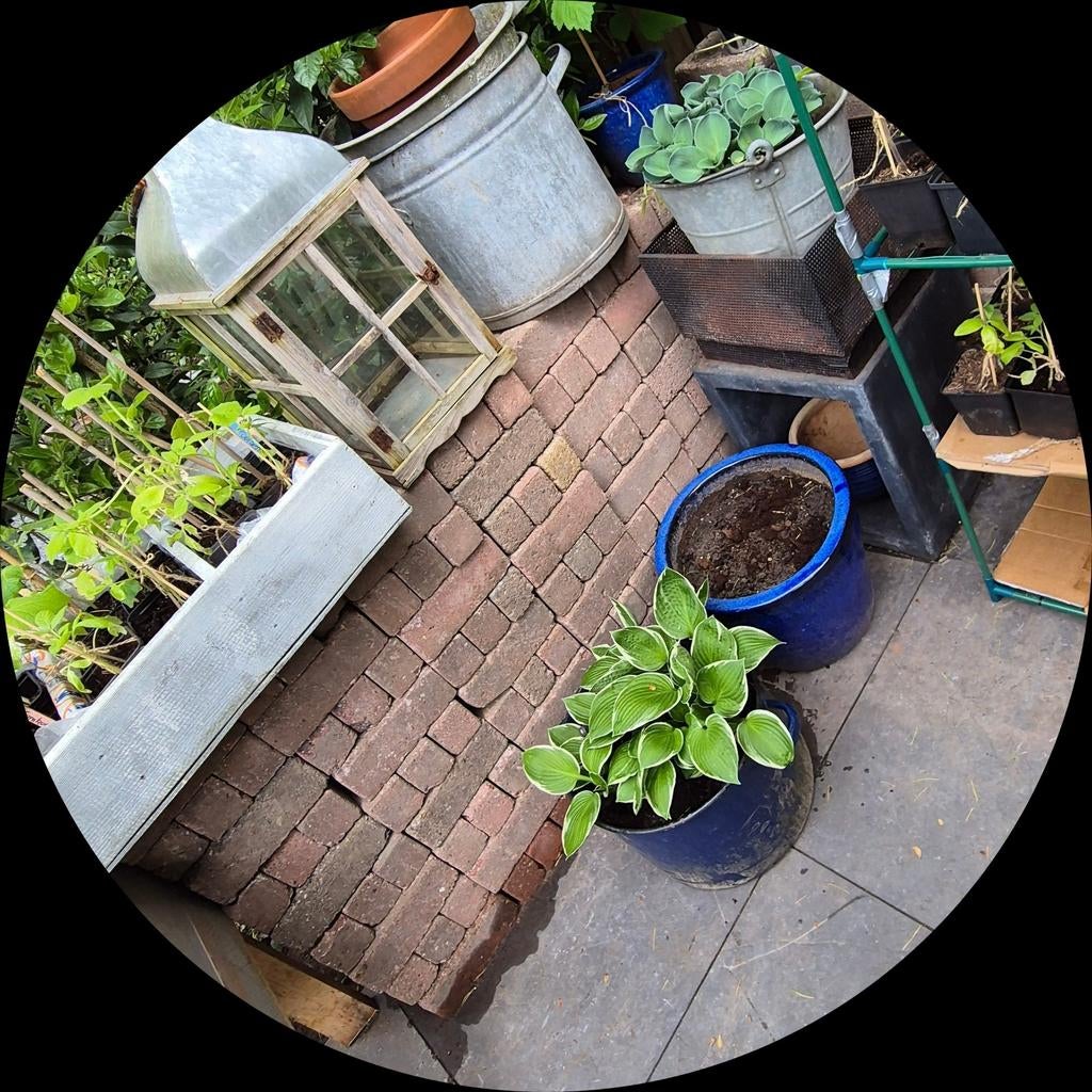 Gratis ophalen! Gebruikte bakstenen voor tuin of bestrating, Ophalen, Gebruikt, Bakstenen