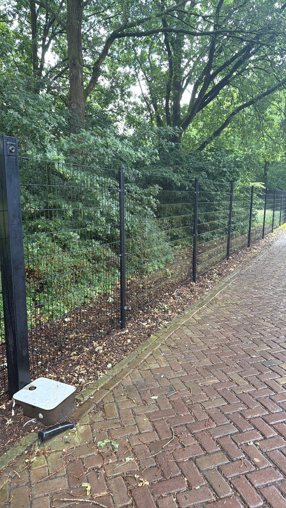 Hekwerk zwart, Ophalen of Verzenden, Zo goed als nieuw, IJzer, Dubbelstaafmat hekwerk