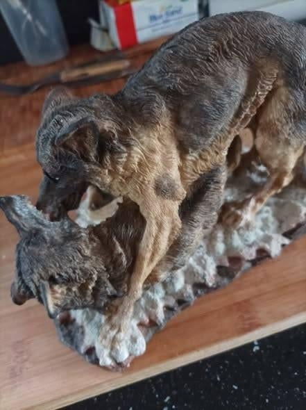 Een polystone beeld van twee vechtende wolven voor € 15,00, Overige onderwerpen, Ophalen of Verzenden, 20 - 50 cm, Steen of Keramiek