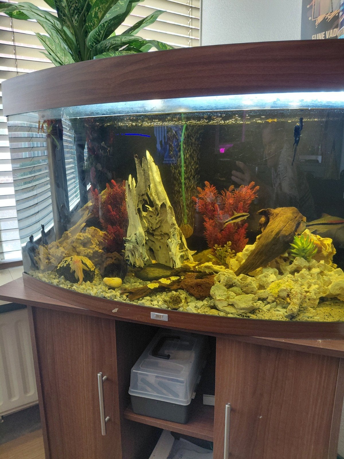 Te koop compleet jewel a, Ophalen, Gebruikt, Leeg aquarium