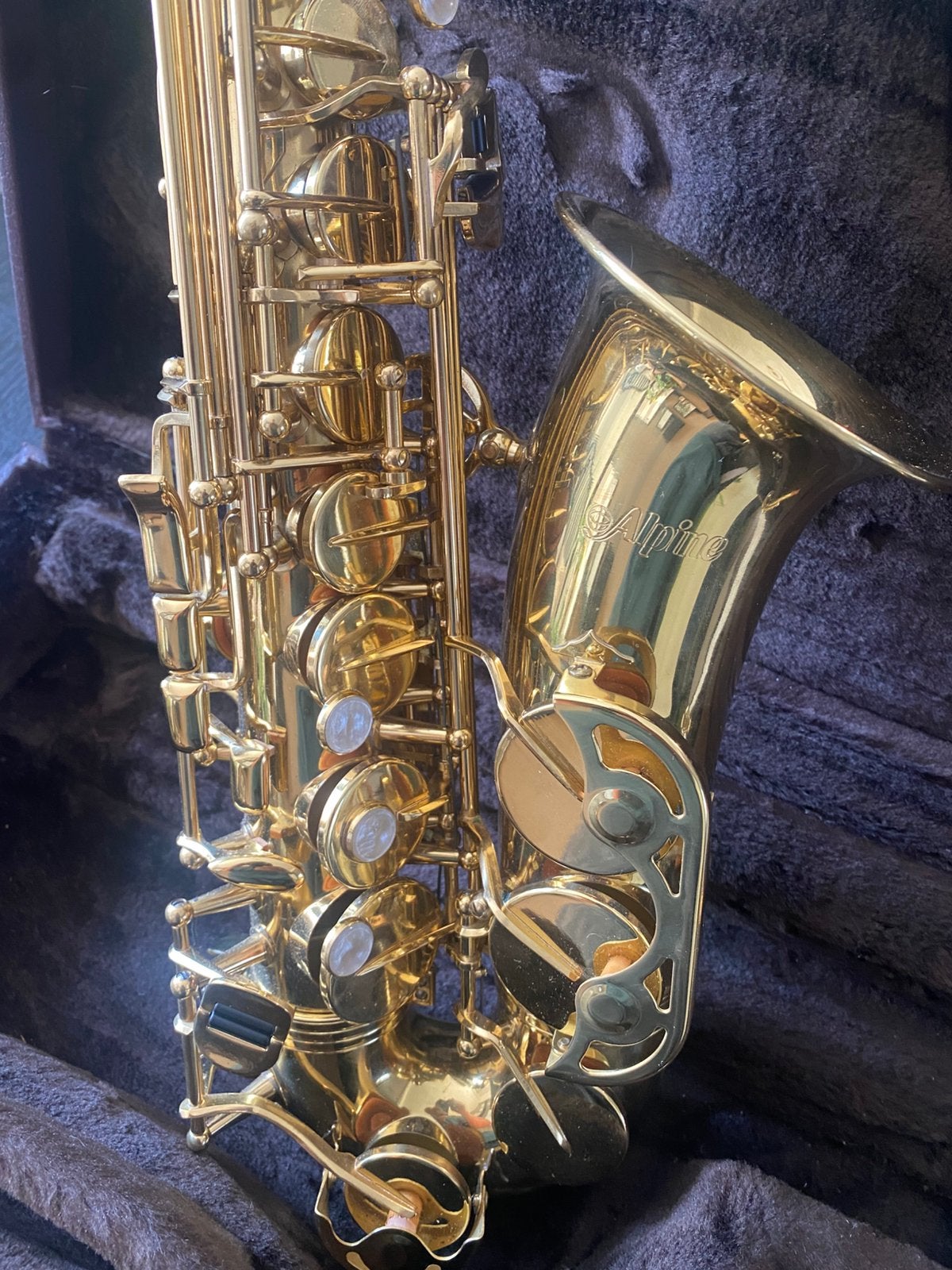 Apline sax model A01255, Ophalen, Gebruikt, Alt, Met koffer