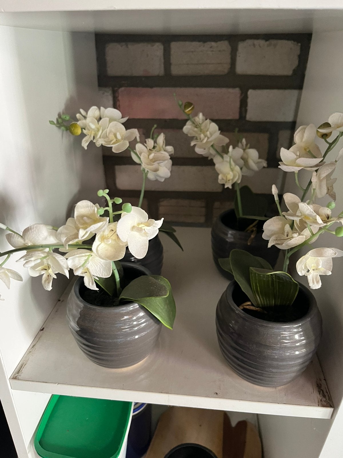 4 orchideeën, Ophalen of Verzenden, Zo goed als nieuw