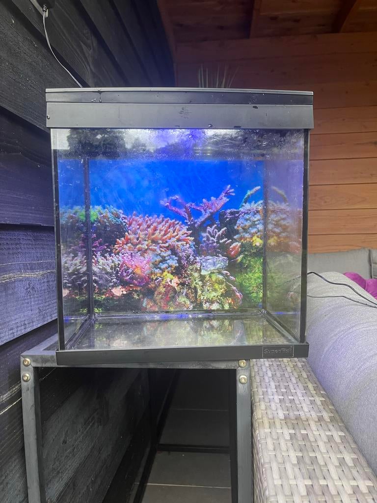 Mooi beginners aquarium, Ophalen, Overige merken, Zo goed als nieuw, Inclusief deksel