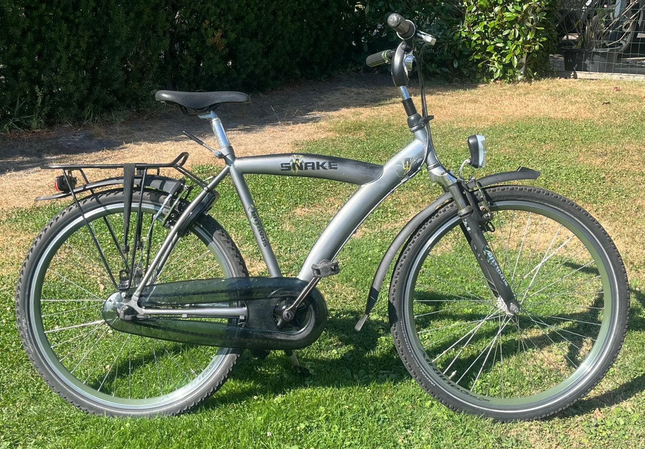 Batavus Snake 26 inch met 3 versnellingen, Gebruikt, Velgrem, Versnellingen, Ophalen