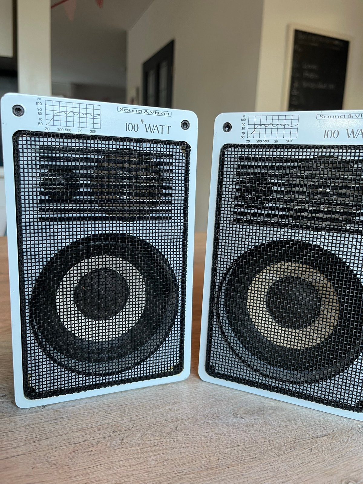 Sound & Vision 100 Watt speakers met vogel muursteun, Overige merken, Gebruikt, Inclusief muurbeugels, Ophalen of Verzenden
