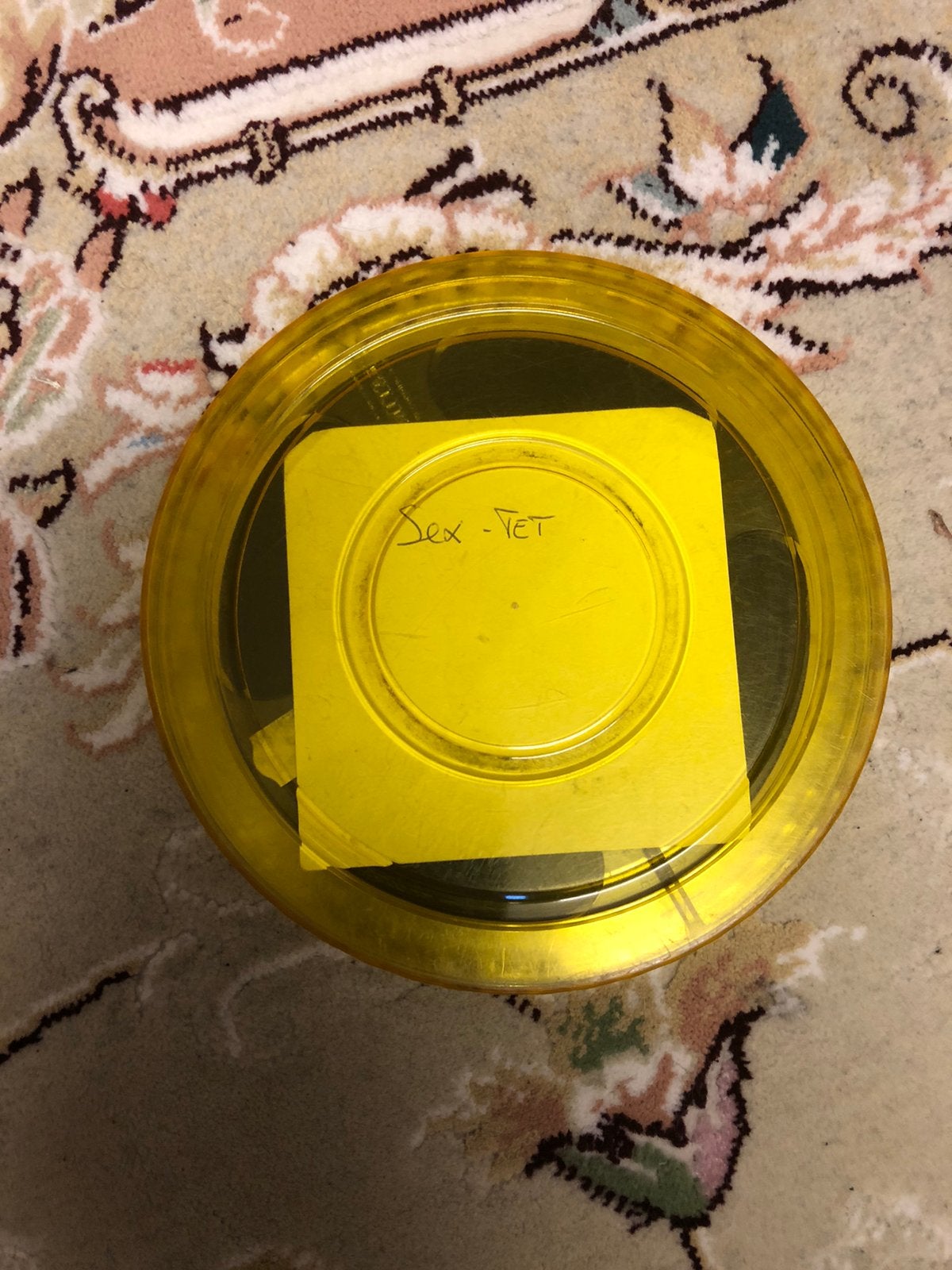N 8mm film voor volwassenen, Sieraden, Tassen en Uiterlijk, Broches, Ophalen of Verzenden, Zo goed als nieuw, Overige materialen