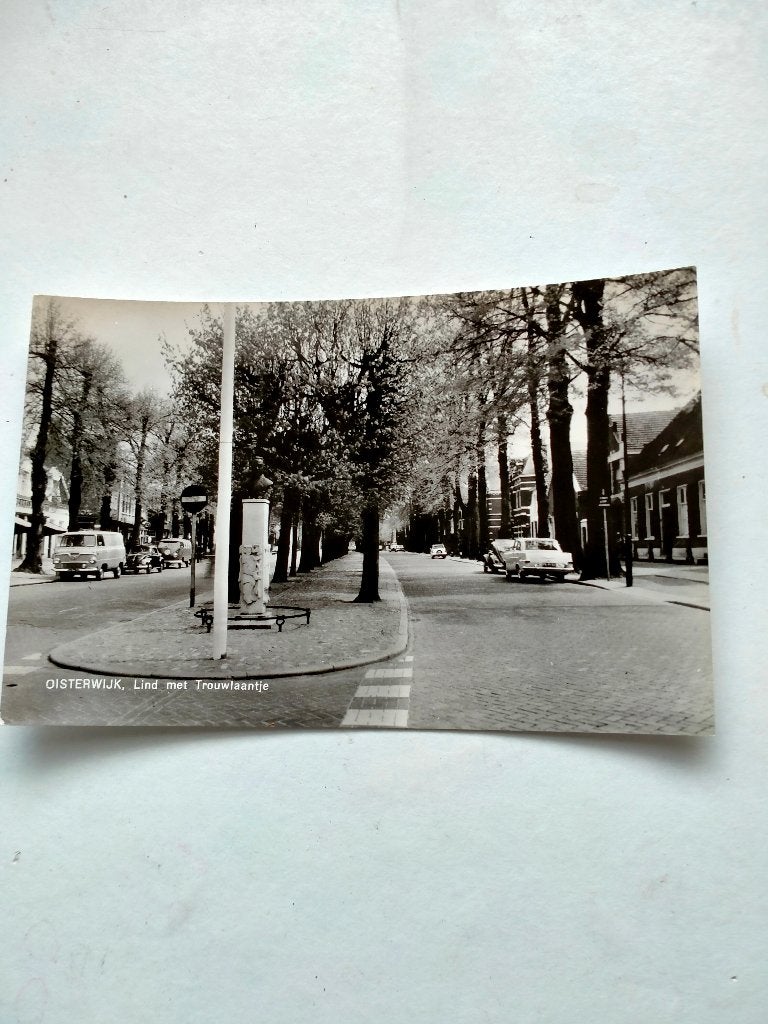 Oisterwijk - Lind met Trouwlaantje, Verzenden, Noord-Brabant