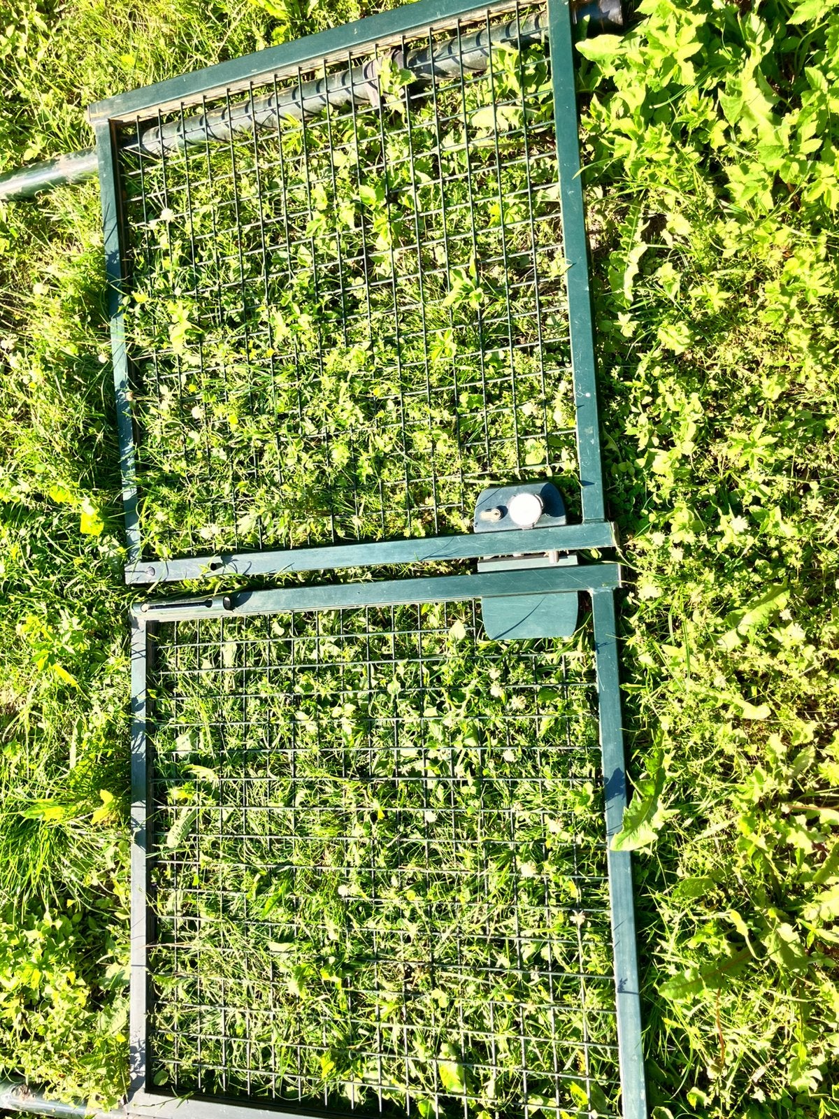 DUBBELE POORT - 90 cm hoog, Ophalen, Met poort, Gebruikt, Gaashekwerk
