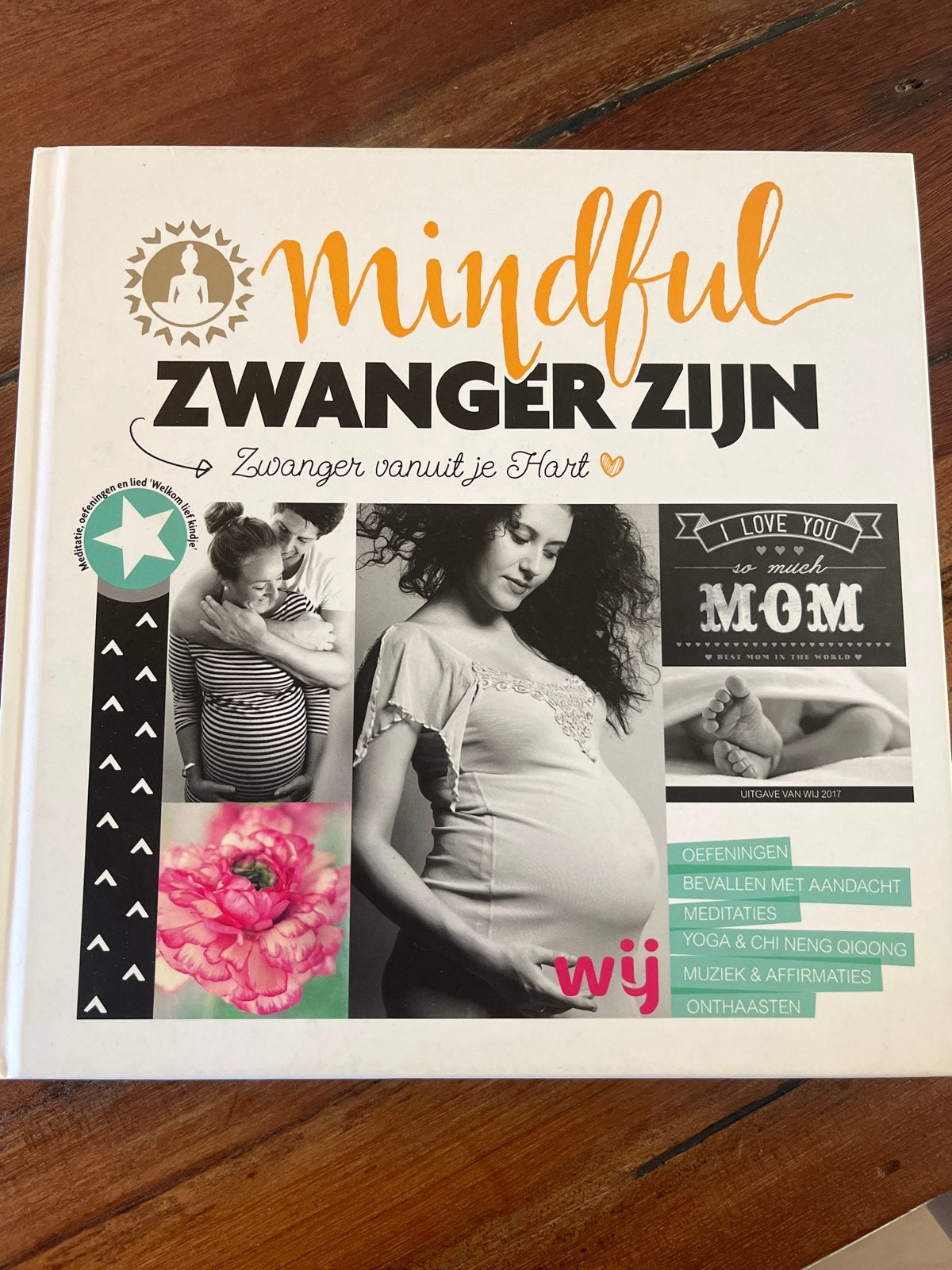 Mindful Zwanger Zijn: Zwanger vanuit je Hart, Ophalen of Verzenden, Zo goed als nieuw, Zwangerschap en Bevalling