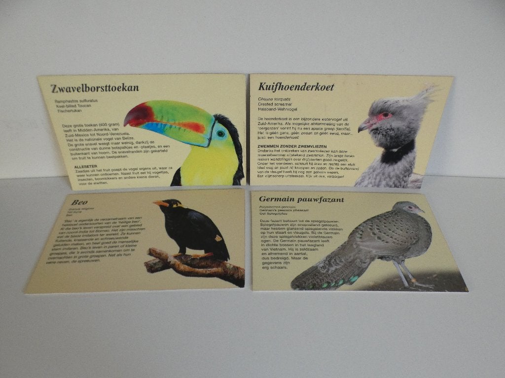 Te koop 4 originele infoborden uit Diergaard Blijdorp, Ophalen of Verzenden, 1980 tot heden, Wild dier