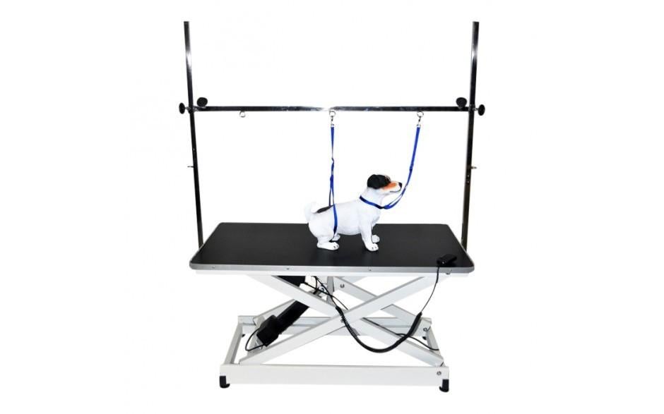 Trimtafel Show Trimtafels Honden Trim Tafel Jupiter!