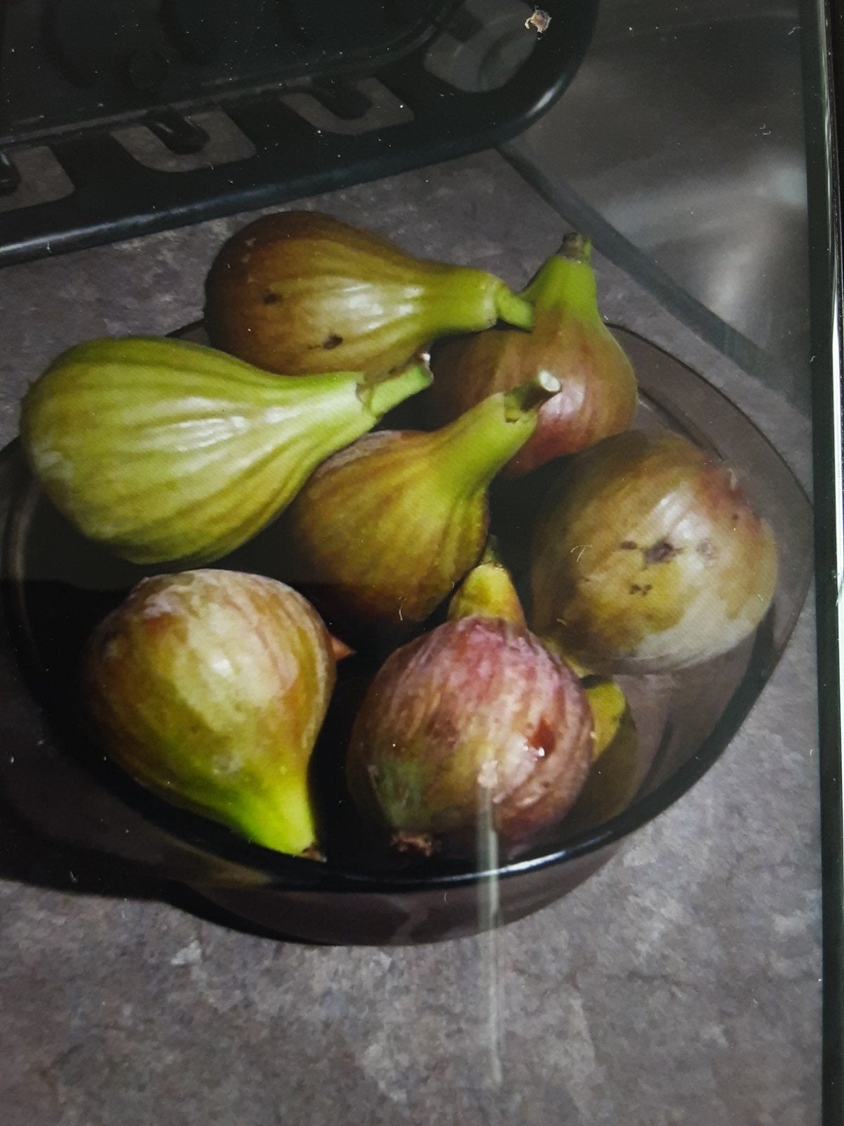 Jonge vijgenboom, Tuin en Terras, Planten | Fruitbomen, Ophalen, Minder dan 100 cm, Volle zon, Bloeit niet