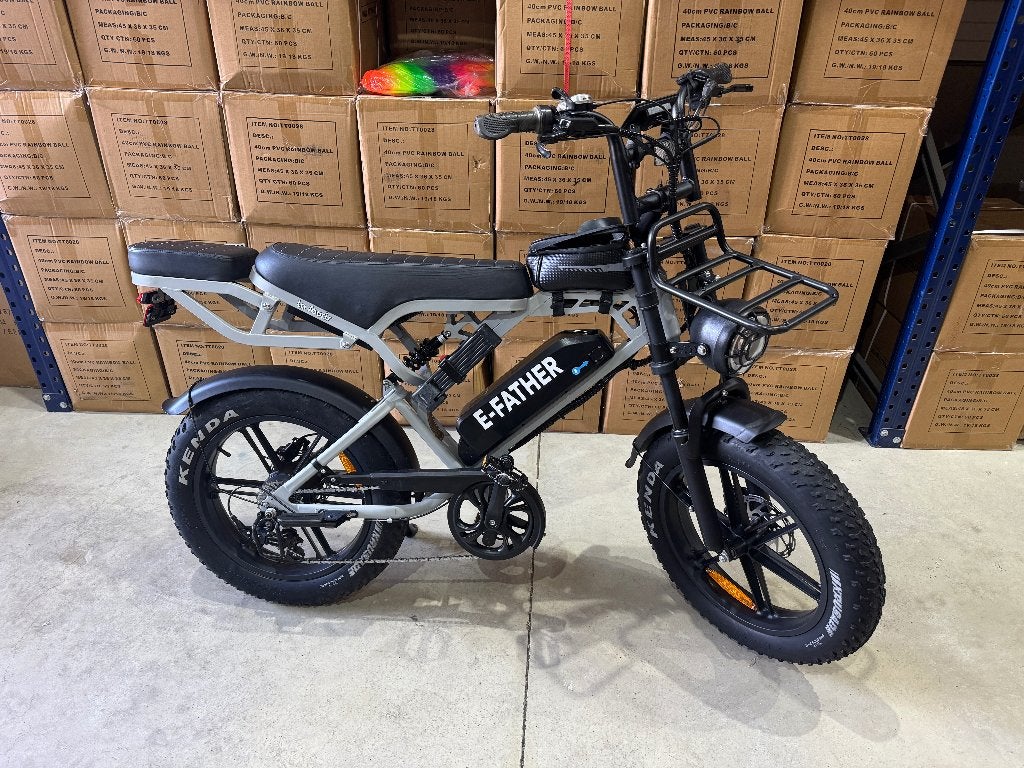 elektrische fiets, Zo goed als nieuw, 59 cm of meer, 50 km per accu of meer, Ophalen