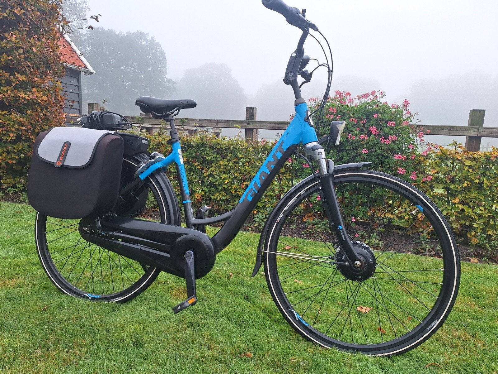 Mooie en goede Giant Ease-e, goede accu's, met garantie, Fietsen en Brommers, Ophalen, Giant, Zo goed als nieuw, 51 tot 55 cm