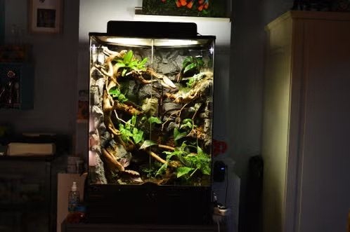 Exo terra terrarium bioactief 60x90x45, Ophalen, Zo goed als nieuw, Terrarium of Paludarium