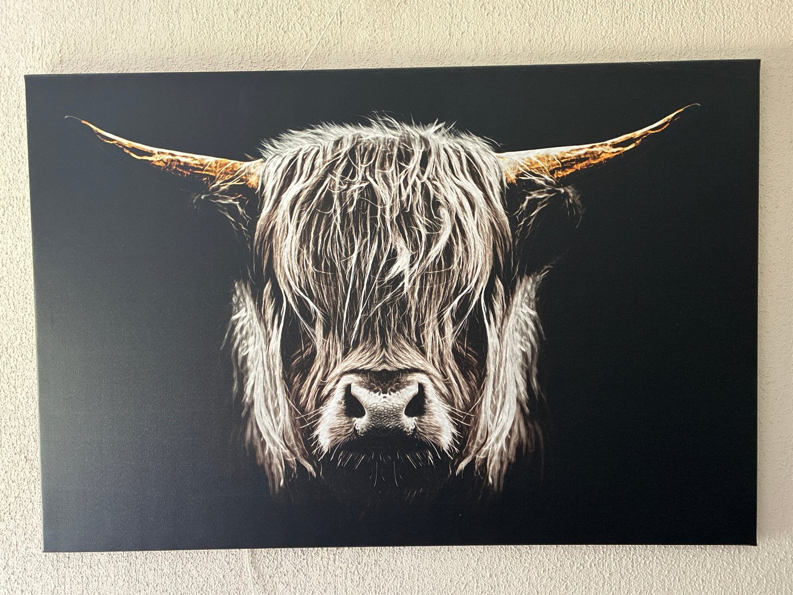 Canvas Schilderij Schotse Hooglander 120x80 cm z.g.a.n., Huis en Inrichting, Ophalen, Oorspronkelijke maker, Zo goed als nieuw