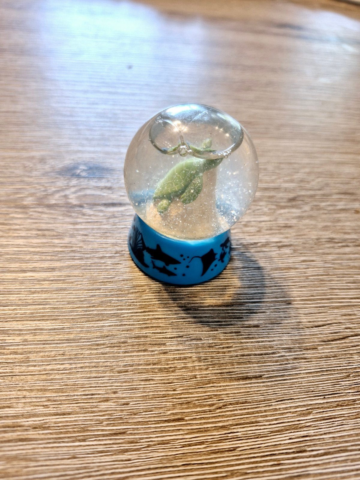 Sneeuwbol met schildpad - Leuk decoratiestuk, Meerkleurig, Overige stijlen, Kunststof, Ophalen of Verzenden