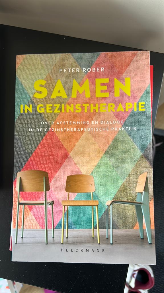 Peter Rober - Samen in gezinstherapie, Ophalen of Verzenden, Zo goed als nieuw, Peter Rober