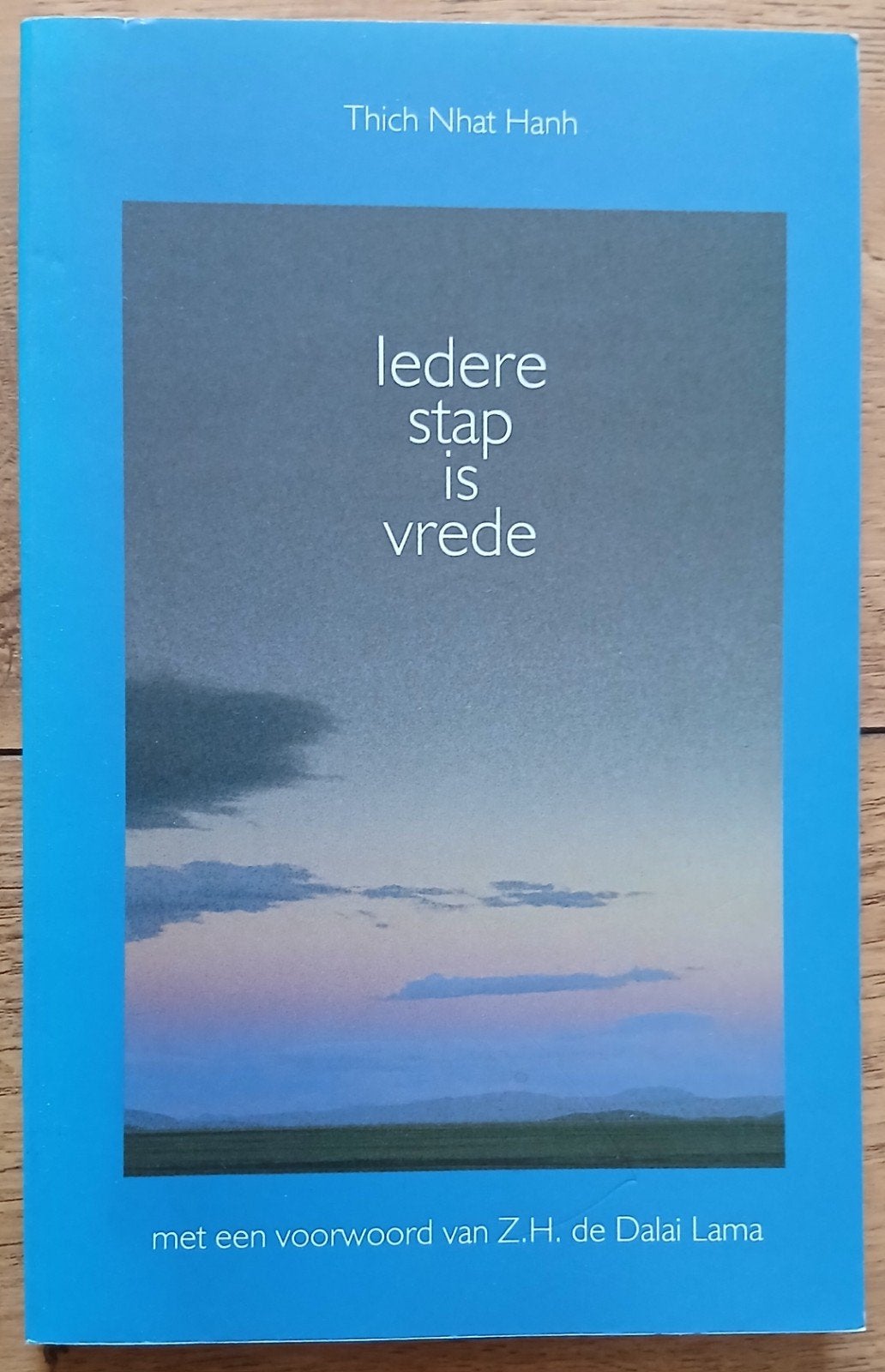 Thich Nhat Hanh, Iedere stap is vrede, Boeken, Ophalen of Verzenden, Gelezen