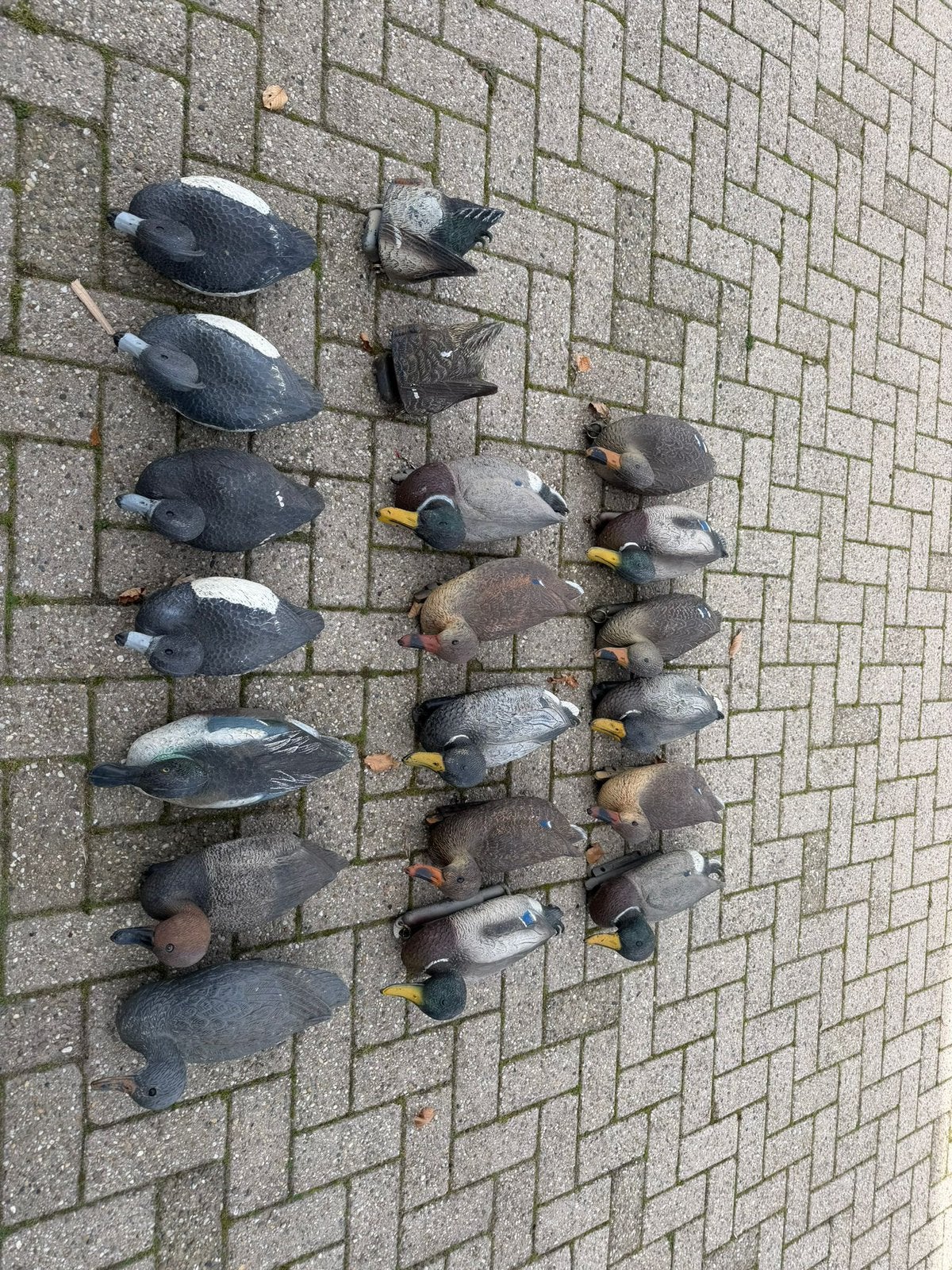 Lokkers voor de jacht. Eend, gans, divers, Ophalen, Gebruikt