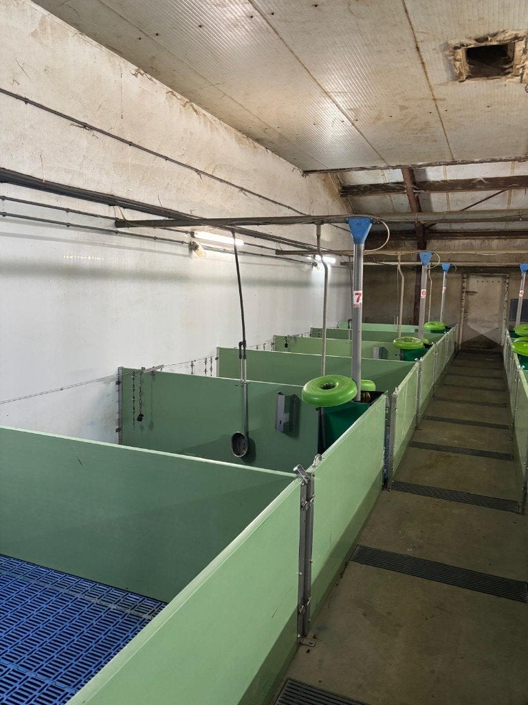 Hokinrichting voor biggen [490], Boekhorst Trading, Tim@boekhorsttrading.com, Singel 16, Horssen