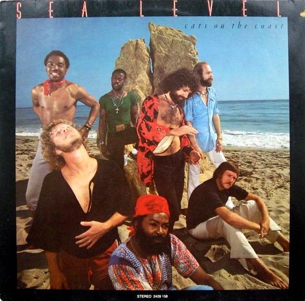 LP SEA LEVEL (Ex-Allman Bros) - CATS ON THE COAST, LP, Gebruikt, Overige genres, Ophalen of Verzenden