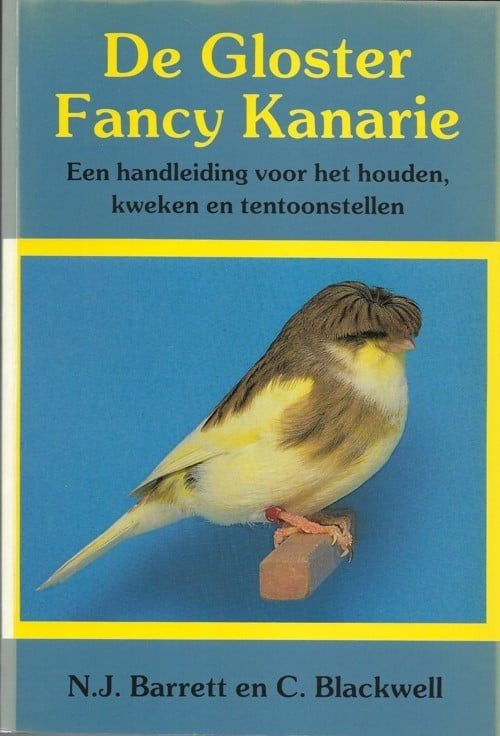 Gezocht; De Gloster Fancy Kanarie Boek, Dieren en Toebehoren, Vogels | Kanaries, Mannelijk