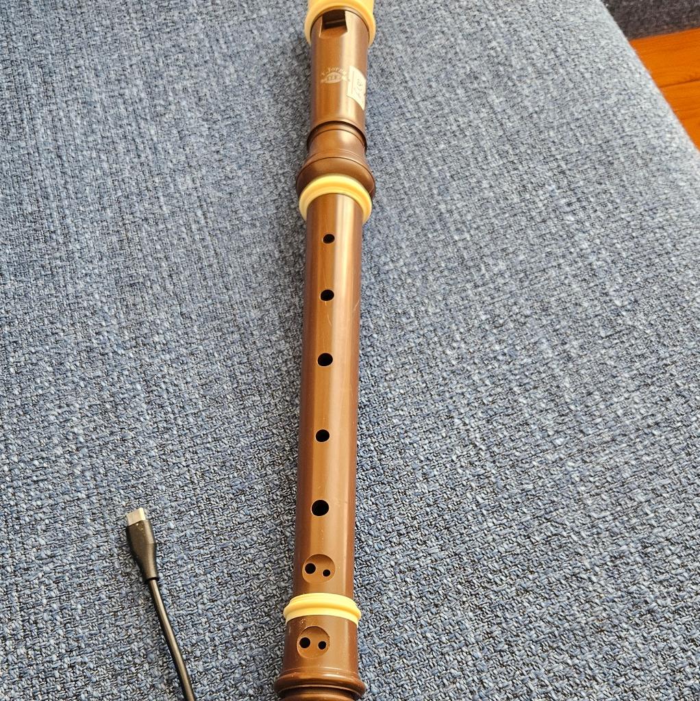 Vintage Altblokfluit T. Jorga (communistische tijd, Polen), Muziek en Instrumenten, Blaasinstrumenten | Blokfluiten, Gebruikt