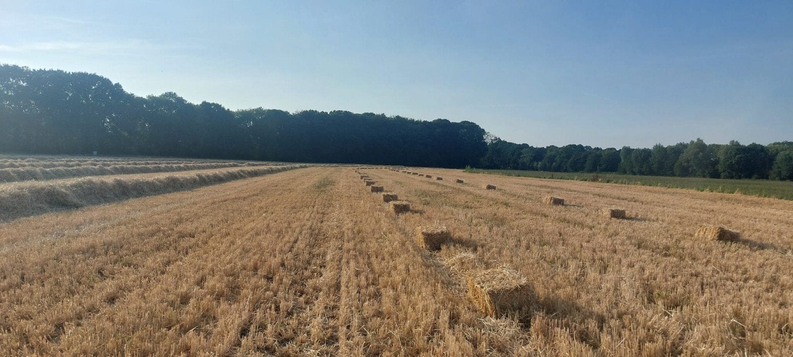 Biologisch gerstestro in kleine balen, Ophalen