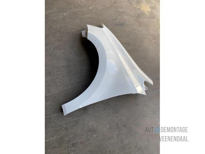 Scherm links-voor van een Volkswagen Polo (LB9A), -, Volkswagen, -, Nieuw