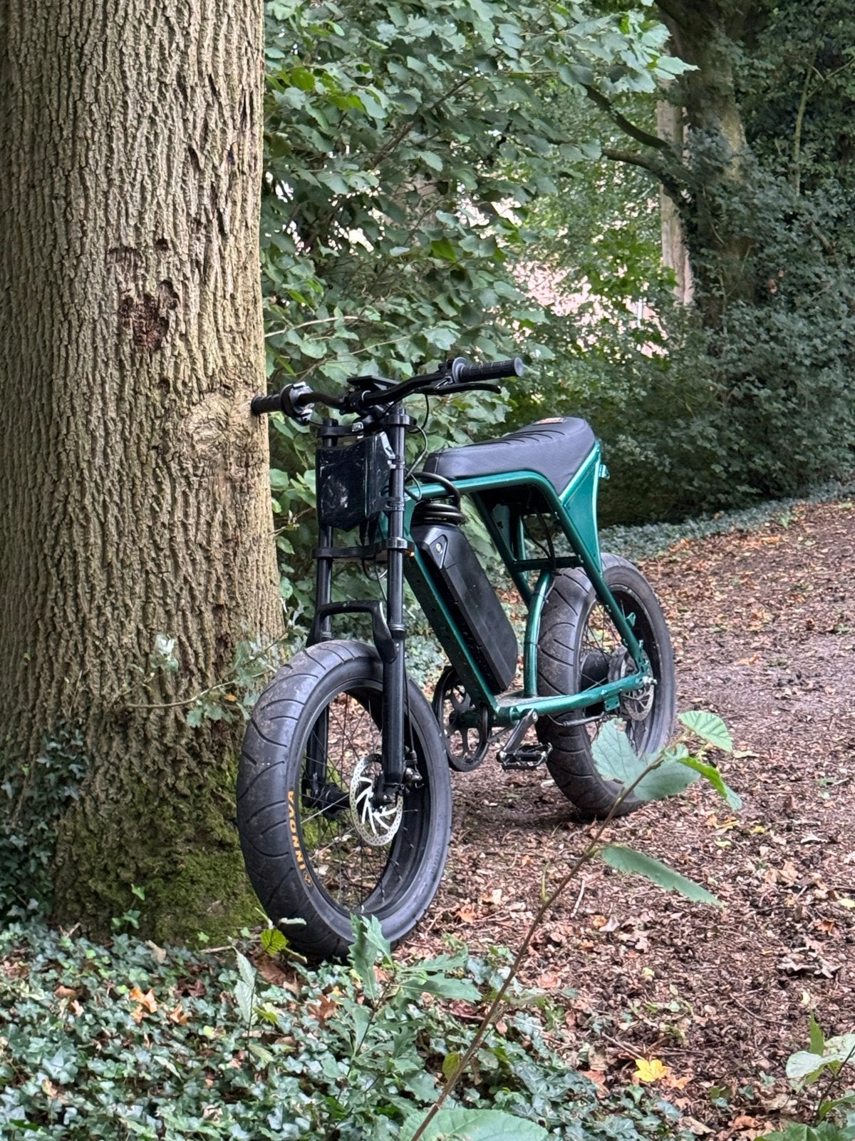 Fatbike 1000W met motor tandwielen versleten veel onderden, 59 cm of meer, Ophalen, Gebruikt, Overige merken