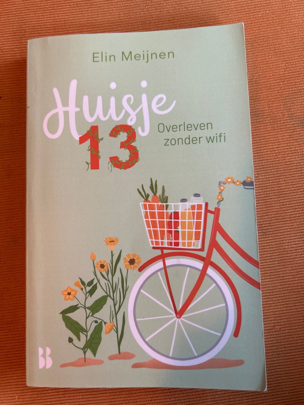 Huisje 13: Overleven zonder wifi - Elin Meijnen, Ophalen of Verzenden, Zo goed als nieuw, Nederland