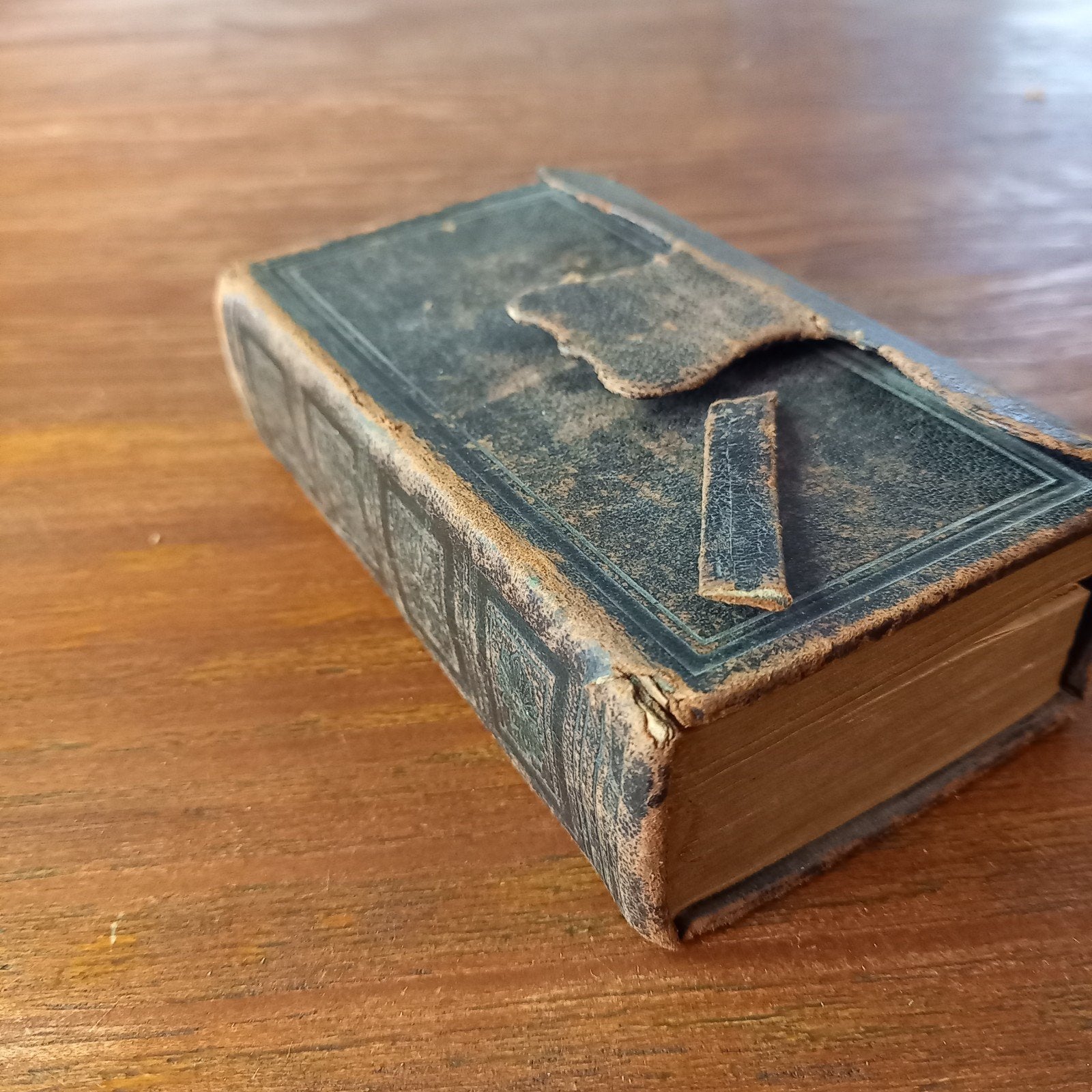 Authentieke vintage 1884, klein, palm Nederlandse Bijbel, Ophalen of Verzenden