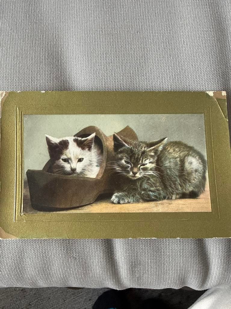 Antieke Ansichtkaart: Schattige Katjes in Schoen, Verzamelen, Ansichtkaarten | Nederland, Ophalen, 1920 tot 1940, Gelopen, Noord-Holland